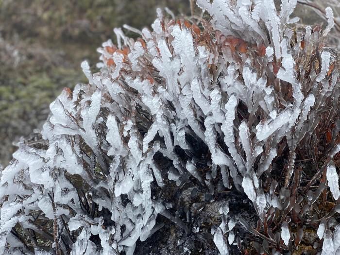 TIN KHÔNG KHÍ LẠNH TĂNG CƯỜNG TỈNH THÁI BÌNH (15h30 ngày 27/12/2024)