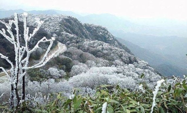 TIN GIÓ MÙA ĐÔNG BẮC KHU VỰC TỈNH HƯNG YÊN (03h30 NGÀY 08/3/2026)