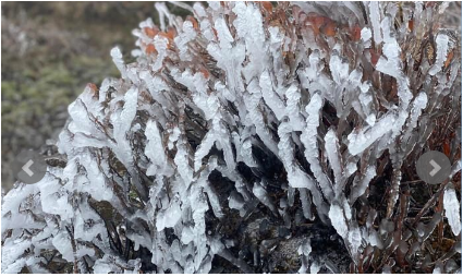 TIN KHÔNG KHÍ LẠNH TĂNG CƯỜNG KHU VỰC TỈNH HƯNG YÊN (09h30 NGÀY 02/12/2025)