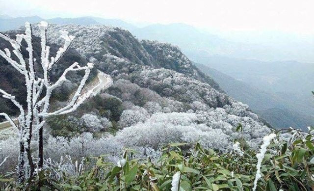 TIN GIÓ MÙA ĐÔNG BẮC VÀ RÉT KHU VỰC TỈNH HƯNG YÊN (21h30 NGÀY 08/02/2026)