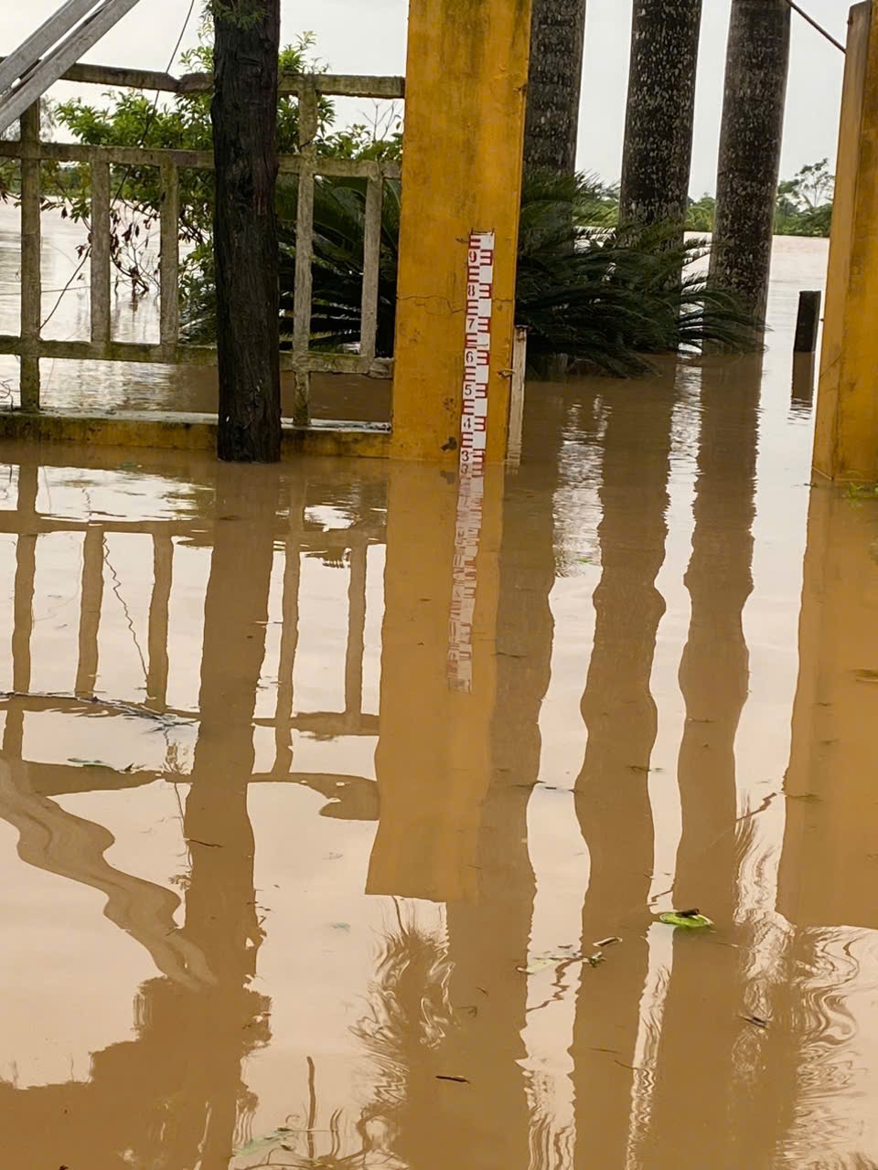 TIN LŨ KHẨN CẤP TRÊN CÁC SÔNG TỈNH THÁI BÌNH (11h05 ngày 12/9/2024)