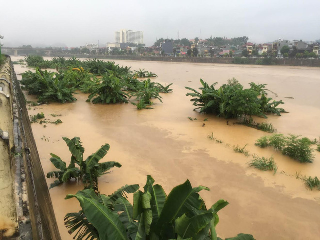 TIN LŨ TRÊN SÔNG TRÀ LÝ TỈNH THÁI BÌNH, NGẬP LỤT KHU VỰC CỬA SÔNG VEN BIỂN 09h00 NGÀY 17/9/2024